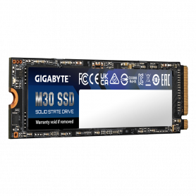 GP-GM301TB-G M.2 NVMe 1To