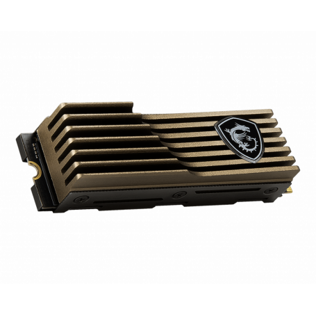 SPATIUM M480 1 To HS