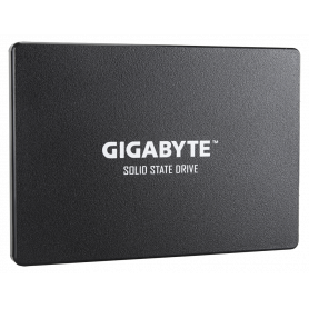 GP-GSTFS31256GTND 256 Go