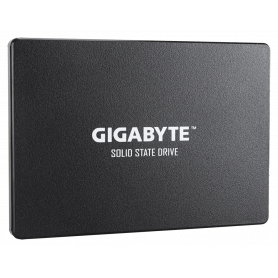 GP-GSTFS31480GNTD 480 Go